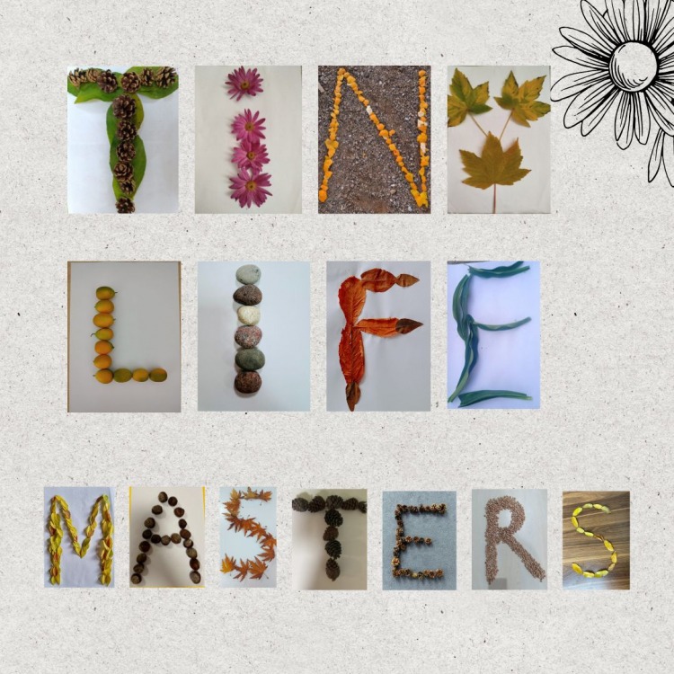 Tiny life masters pavadinimas - 1